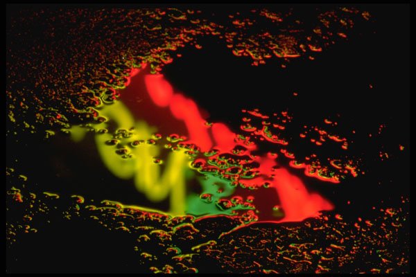 313035 Red, Green, Yellow Neon Light Reflected In Pool Of Rain A4 Photo Print