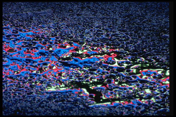 313037 Blue, Red, Green Neon Light Reflected On Wet Asphalt A4 Photo Print