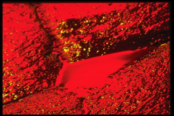 313039 Red Neon Light Reflected In Water Filled Crack In Asphalt A4 Photo Print