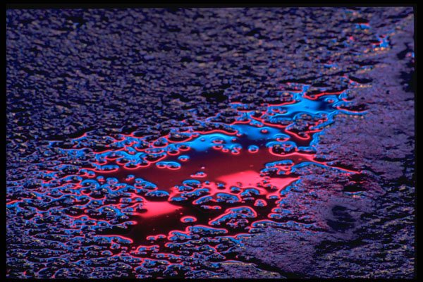 313041 Red & Blue Neon Light Reflected In Pooled Rain Water A4 Photo Print