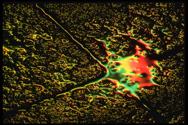 313042 Yellow, Green, Red Neon Light Reflected On Wet Patio Stones A4 Photo Print