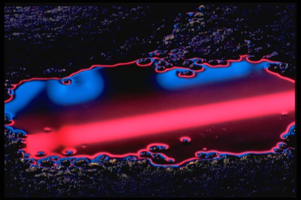 313045 Red & Blue Neon Light Reflected In Pooled Rain Water A4 Photo Print
