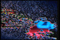 313046 Green, Red, Blue Neon Light Reflected On Wet Asphalt A4 Photo Print
