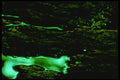 313047 Green Light Reflected On Wet, Grooved Asphalt A4 Photo Print