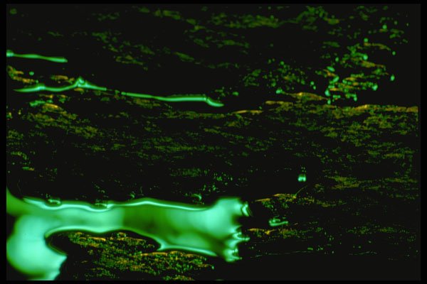 313047 Green Light Reflected On Wet, Grooved Asphalt A4 Photo Print