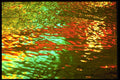313048 Green And Red Light Reflected On Pool Of Rain Water A4 Photo Print