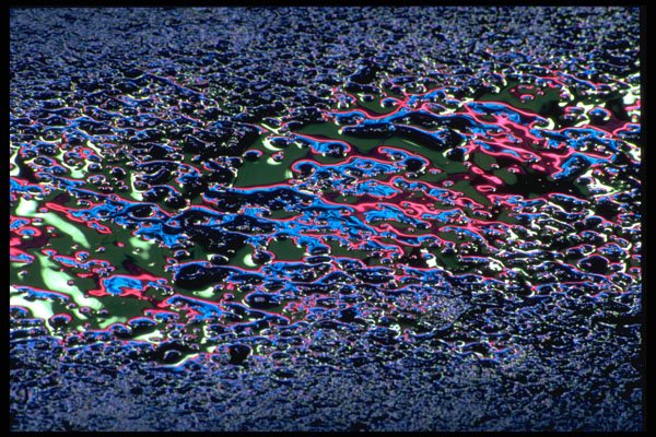 313049 Green, Red, Blue Neon Light Reflected On Wet Asphalt A4 Photo Print