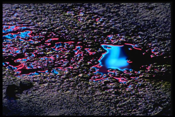 313052 Red & Blue Neon Light Reflected On Wet Asphalt A4 Photo Print