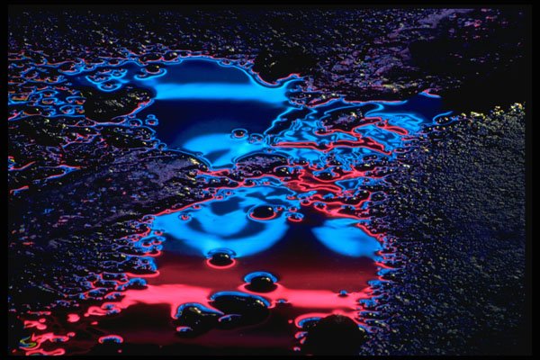 313056 Red & Blue Neon Light Reflected In Pooled Water On Asphalt A4 Photo Print