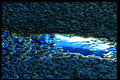 313058 Yellow, Blue, White Light Reflected On Wet Asphalt A4 Photo Print