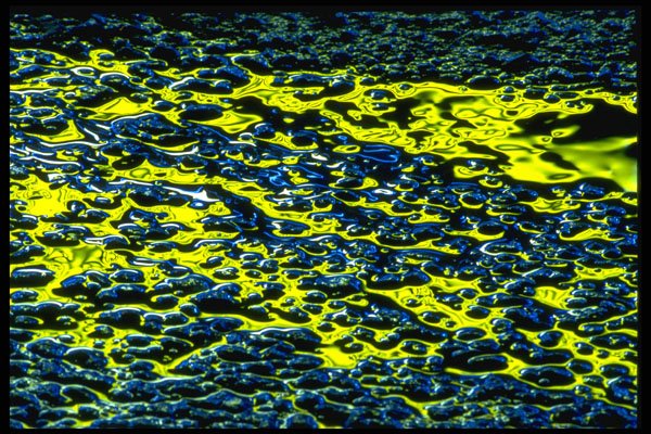 313059 Yellow & Blue Neon Light Reflected On Wet Asphalt A4 Photo Print