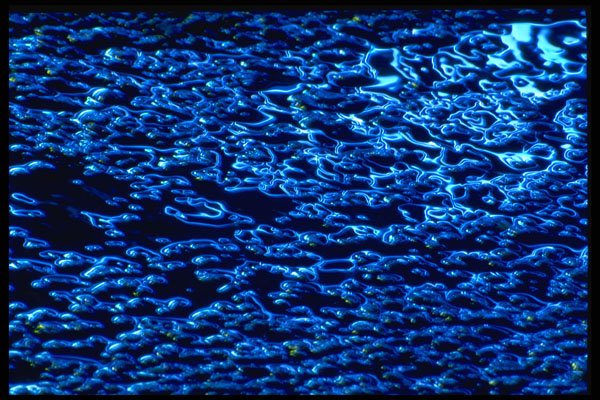 313061 Blue & White Light Reflecting Off Wet Asphalt A4 Photo Print