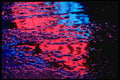 313064 Blue & Red Neon Light Reflected Off Pool Of Rain Water A4 Photo Print