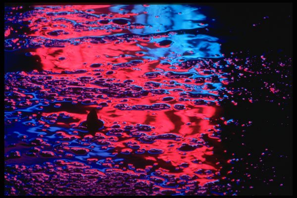 313064 Blue & Red Neon Light Reflected Off Pool Of Rain Water A4 Photo Print