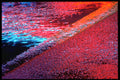 313065 Colours Reflected Off Designated White Parking Line A4 Photo Print