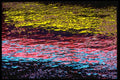 313066 Yellow, Red, Blue Neon Light Reflected Off Wet Asphalt A4 Photo Print