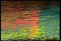 313068 Yellow, Blue, Red Neon Light Reflected Off Wet Asphalt A4 Photo Print