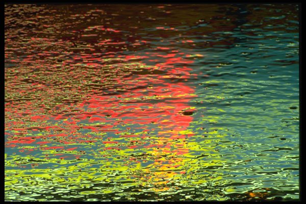 313068 Yellow, Blue, Red Neon Light Reflected Off Wet Asphalt A4 Photo Print