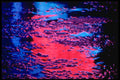 313070 Red & Blue Neon Light Reflecting Off Wet Asphalt A4 Photo Print