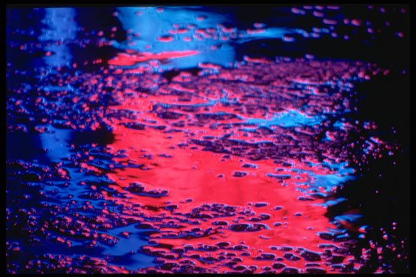 313070 Red & Blue Neon Light Reflecting Off Wet Asphalt A4 Photo Print