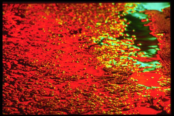 313072 Red & Green Light Reflected Off Pooled Rain Water A4 Photo Print
