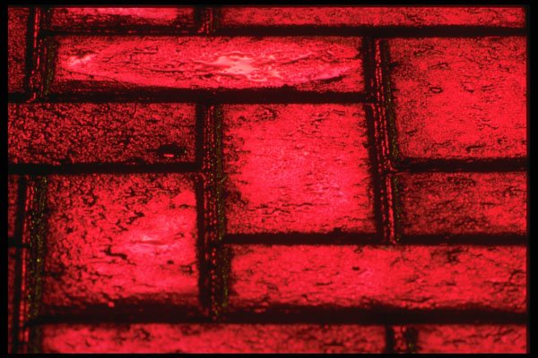 313073 Red Neon Light Reflecting Off Wet Inter locking Stones A4 Photo Print