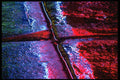 313074 Multi coloured Lights Reflecting Off Wet Concrete Sidewalk A4 Photo Print