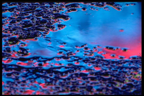 313077 Blue & Red Neon Light Reflected In Pool Of Rain Water A4 Photo Print