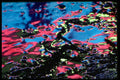 313081 Blue, Red, Yellow Neon Light Reflected Off Wet Asphalt A4 Photo Print