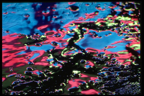 313081 Blue, Red, Yellow Neon Light Reflected Off Wet Asphalt A4 Photo Print