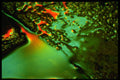 313082 Red, Yellow, Green Neon Light Reflected Off Patio Stones A4 Photo Print