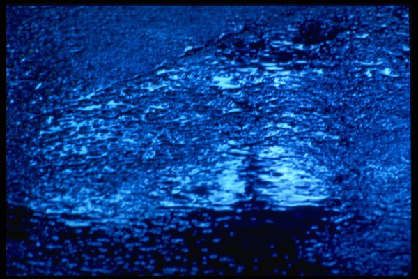 313090 Blue Neon Light Reflected Off Asphalt A4 Photo Print