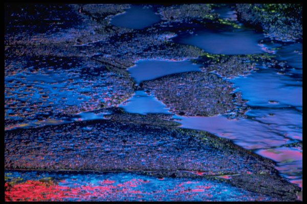 313091 Red, Yellow, Blue Neon Light Reflected Off Patched Asphalt A4 Photo Print