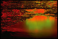 313092 Green, Yellow, Red Neon Light Reflected Off Asphalt A4 Photo Print