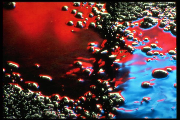 313093 Red, Blue, White Neon Light Reflecting Off Asphalt A4 Photo Print