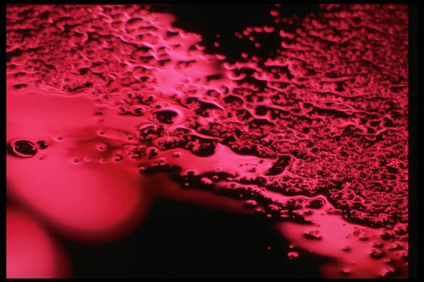 313094 Magenta Coloured Neon Light Reflected Off Asphalt A4 Photo Print