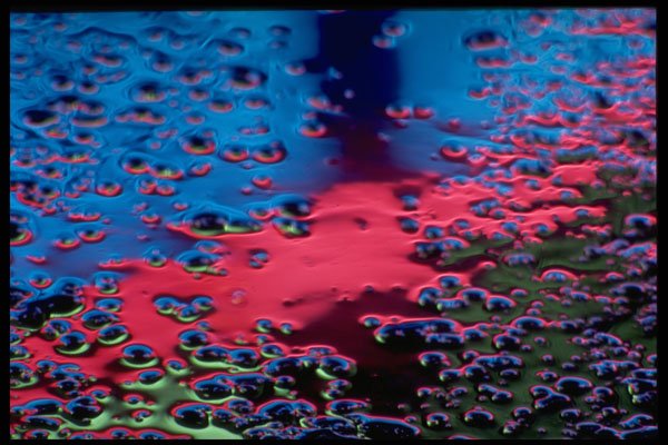313095 Blue, Red, Pale Green Neon Light Reflecting Off Asphalt A4 Photo Print