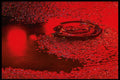 313099 Red Neon Light Reflecting Off Pool Of Rain Water A4 Photo Print