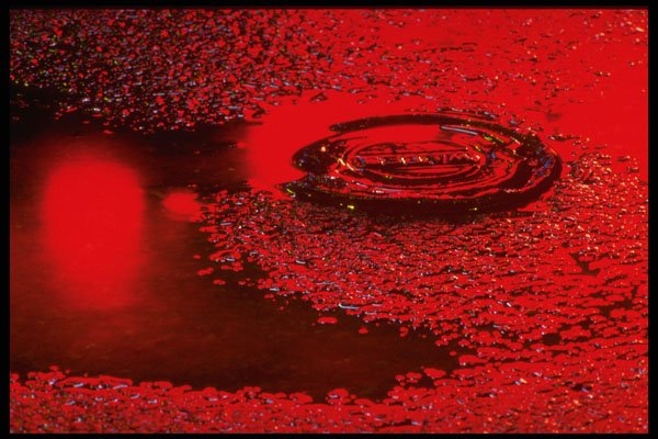 313099 Red Neon Light Reflecting Off Pool Of Rain Water A4 Photo Print