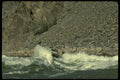 315008 Big Wave, Grand Canyon A4 Photo Print
