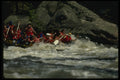 315017 Paddle Rafts, Ottawa River A4 Photo Print