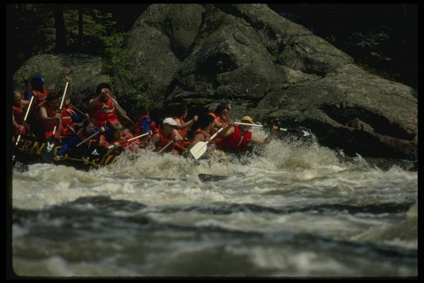 315017 Paddle Rafts, Ottawa River A4 Photo Print