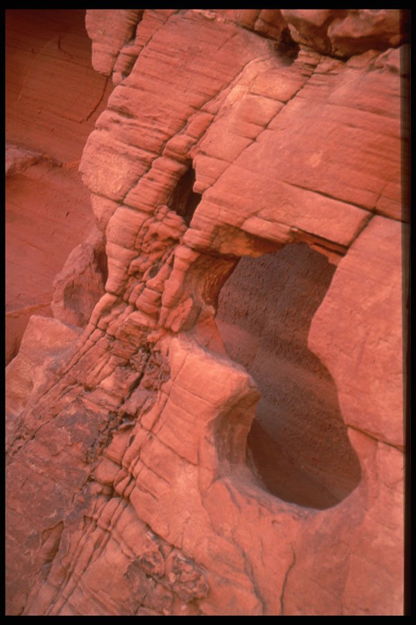 316010 Surrealistic Carving A4 Photo Print