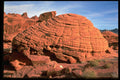316014 Beehive A4 Photo Print