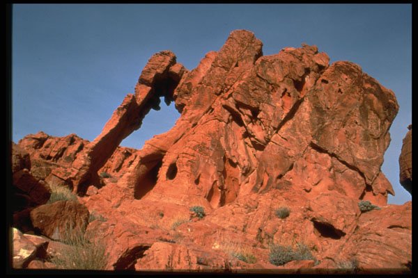 316016 Elephant Rock A4 Photo Print