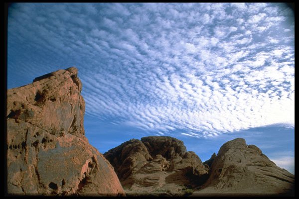 316021 Strong Wind To Come A4 Photo Print