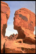 316024 Mummified Head A4 Photo Print