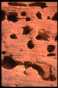 316026 Swiss Cheese A4 Photo Print