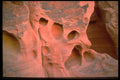 316032 Skull A4 Photo Print
