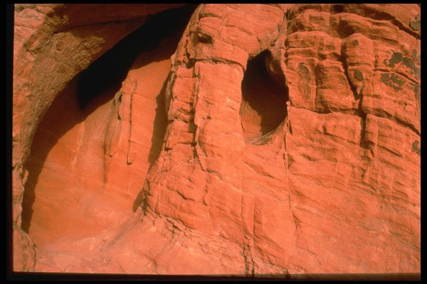 316035 Cyclops A4 Photo Print